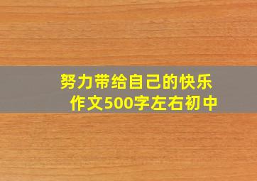 努力带给自己的快乐作文500字左右初中