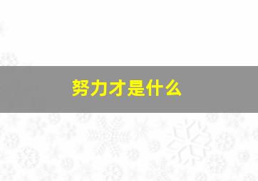 努力才是什么