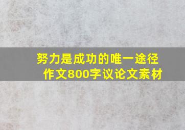 努力是成功的唯一途径作文800字议论文素材