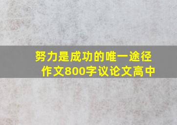 努力是成功的唯一途径作文800字议论文高中