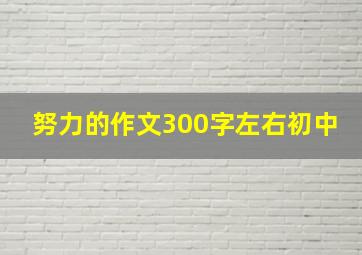 努力的作文300字左右初中