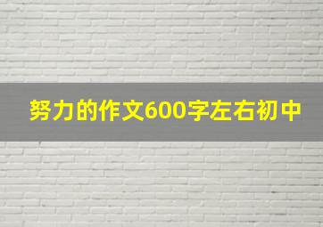 努力的作文600字左右初中