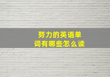 努力的英语单词有哪些怎么读