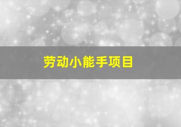 劳动小能手项目