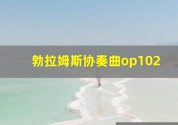 勃拉姆斯协奏曲op102