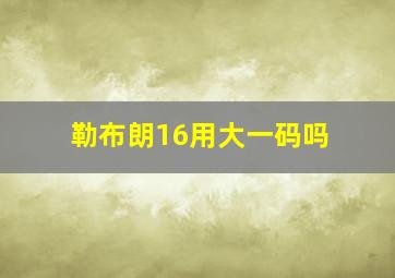 勒布朗16用大一码吗