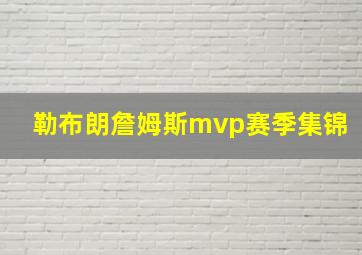 勒布朗詹姆斯mvp赛季集锦