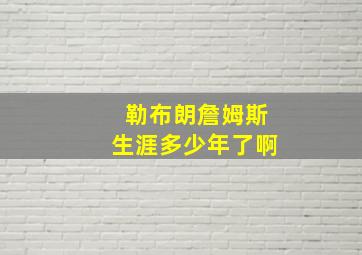 勒布朗詹姆斯生涯多少年了啊