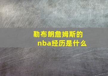 勒布朗詹姆斯的nba经历是什么