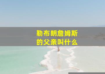 勒布朗詹姆斯的父亲叫什么