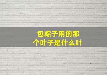 包粽子用的那个叶子是什么叶