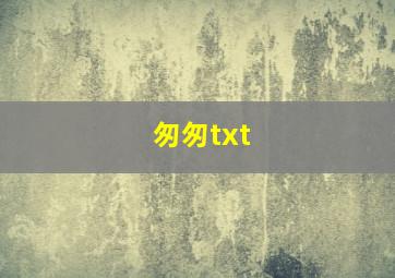 匆匆txt