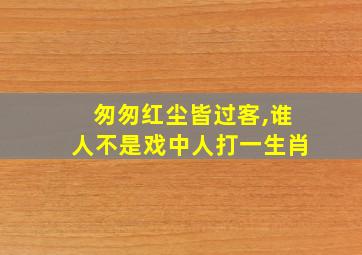 匆匆红尘皆过客,谁人不是戏中人打一生肖