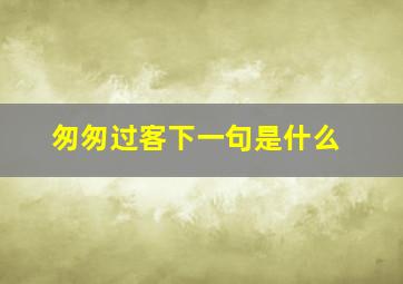 匆匆过客下一句是什么