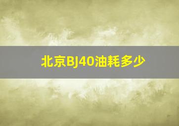 北京BJ40油耗多少