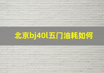 北京bj40l五门油耗如何