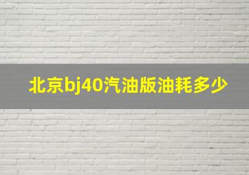 北京bj40汽油版油耗多少