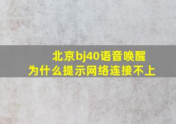 北京bj40语音唤醒为什么提示网络连接不上