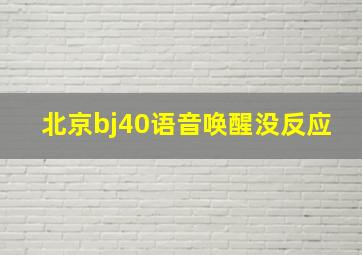 北京bj40语音唤醒没反应