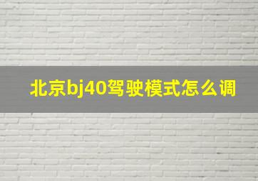 北京bj40驾驶模式怎么调