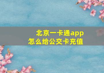 北京一卡通app怎么给公交卡充值