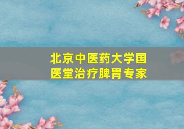 北京中医药大学国医堂治疗脾胃专家