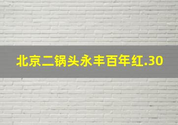 北京二锅头永丰百年红.30