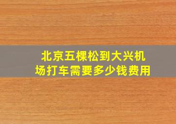 北京五棵松到大兴机场打车需要多少钱费用