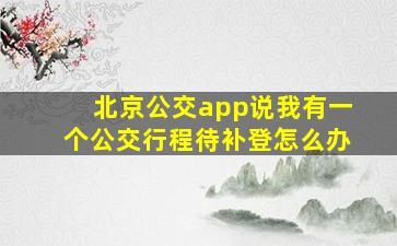 北京公交app说我有一个公交行程待补登怎么办