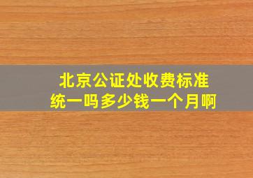 北京公证处收费标准统一吗多少钱一个月啊