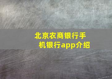 北京农商银行手机银行app介绍