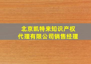 北京凯特来知识产权代理有限公司销售经理