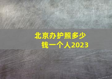 北京办护照多少钱一个人2023