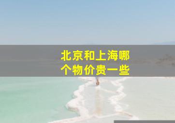 北京和上海哪个物价贵一些