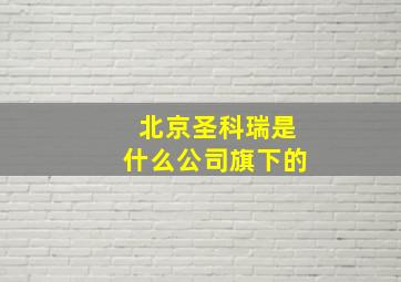 北京圣科瑞是什么公司旗下的