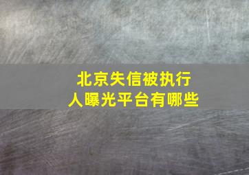 北京失信被执行人曝光平台有哪些