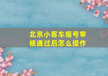 北京小客车摇号审核通过后怎么操作