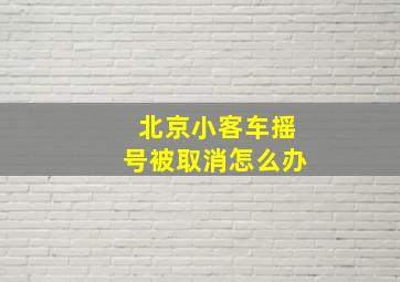 北京小客车摇号被取消怎么办