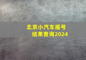 北京小汽车摇号结果查询2024