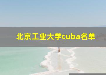 北京工业大学cuba名单