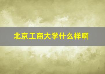 北京工商大学什么样啊