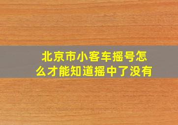 北京市小客车摇号怎么才能知道摇中了没有