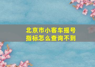 北京市小客车摇号指标怎么查询不到