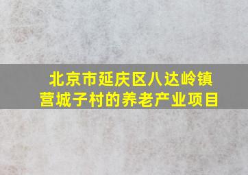 北京市延庆区八达岭镇营城子村的养老产业项目