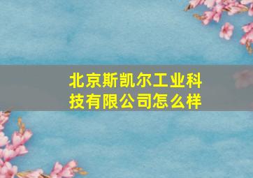 北京斯凯尔工业科技有限公司怎么样