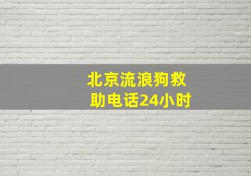 北京流浪狗救助电话24小时