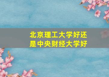 北京理工大学好还是中央财经大学好