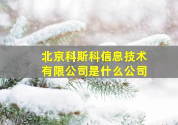 北京科斯科信息技术有限公司是什么公司