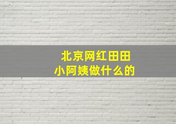 北京网红田田小阿姨做什么的