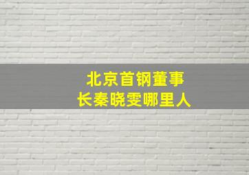 北京首钢董事长秦晓雯哪里人